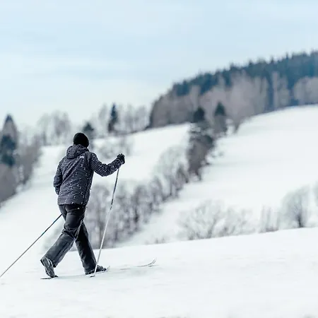 Aldrov 4* Vítkovice