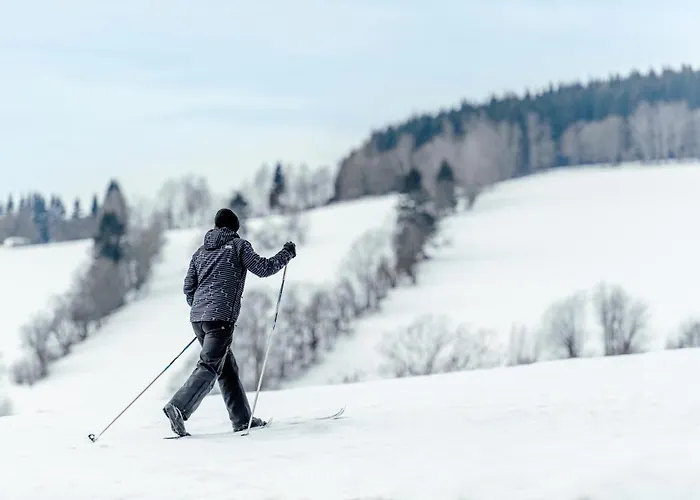 Aldrov 4* Vítkovice