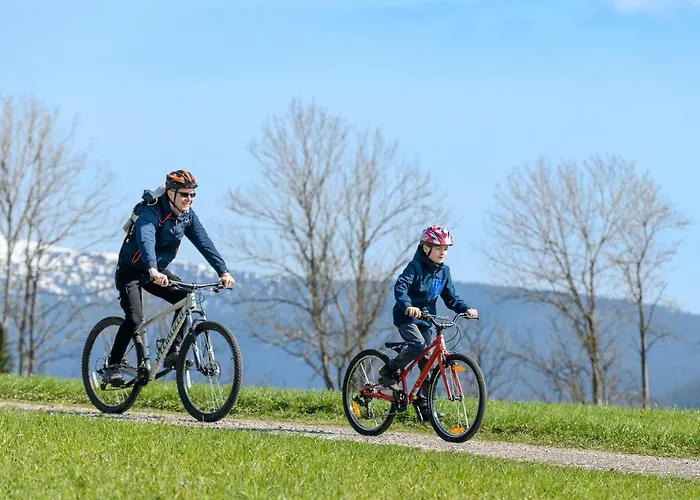 Hotel apartamentowy Aldrov Vítkovice